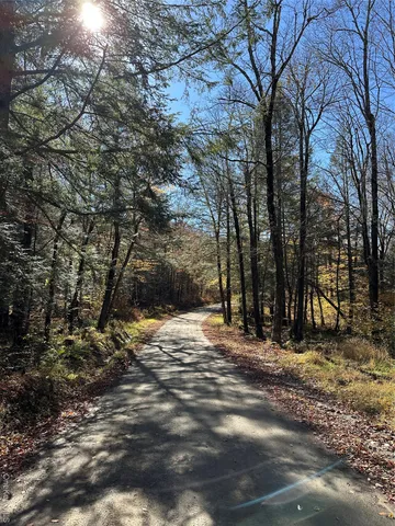 a view of a yard with trees