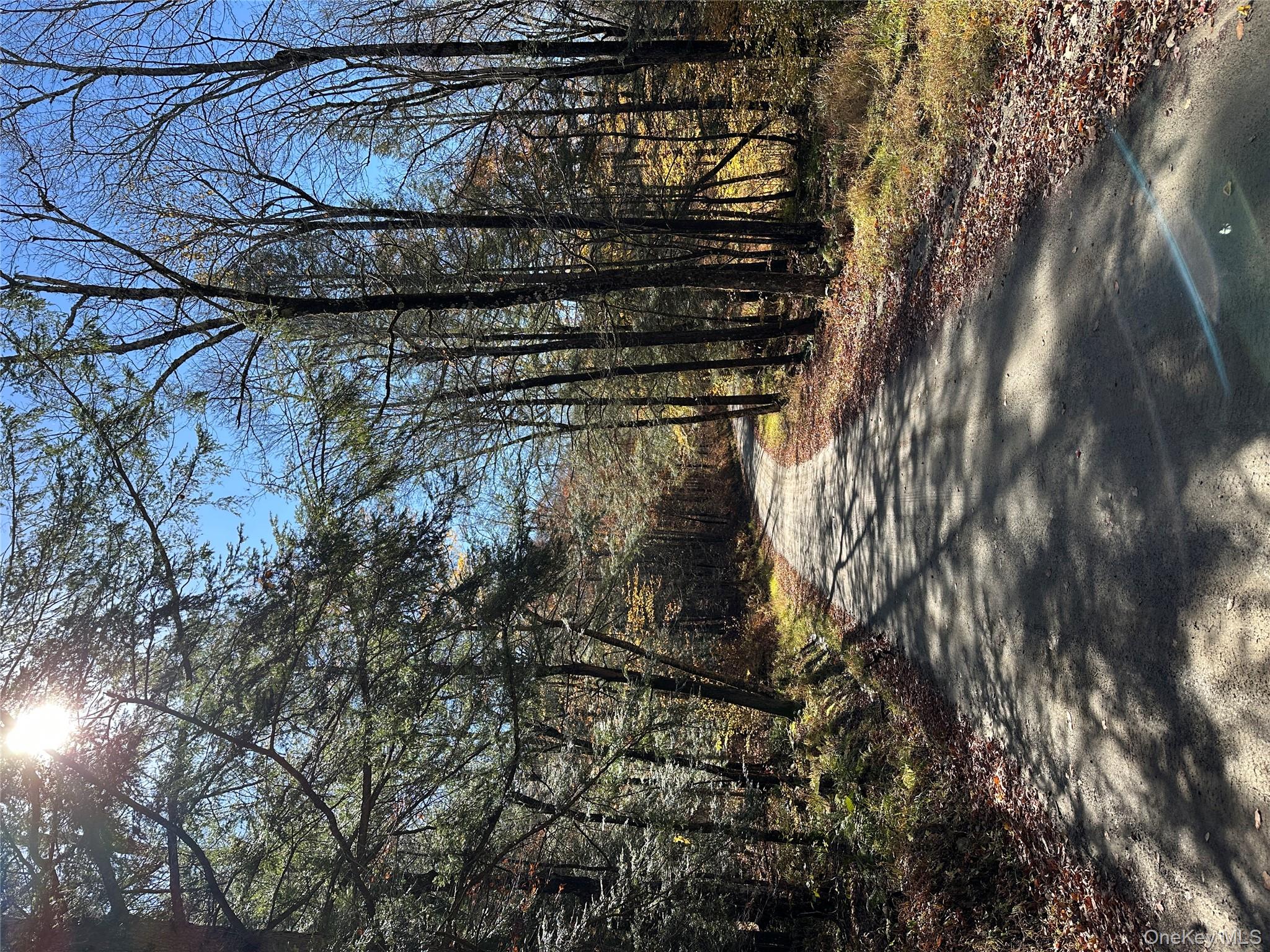 a view of a yard with trees