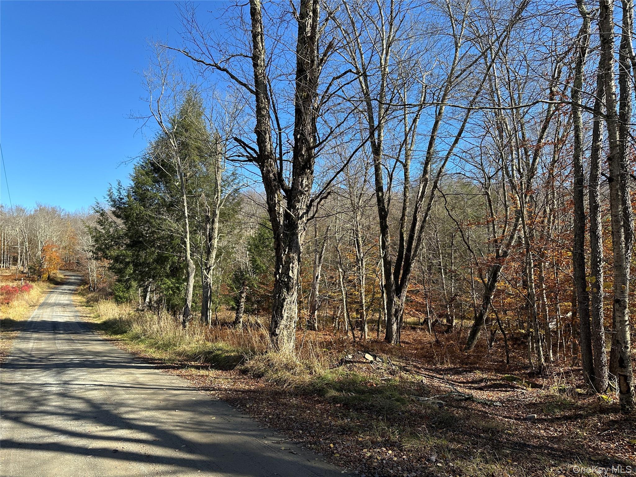 24 Mud Pond Road Livingston Manor, NY 12758 - Photo 12 of 18 a view of a yard with large trees