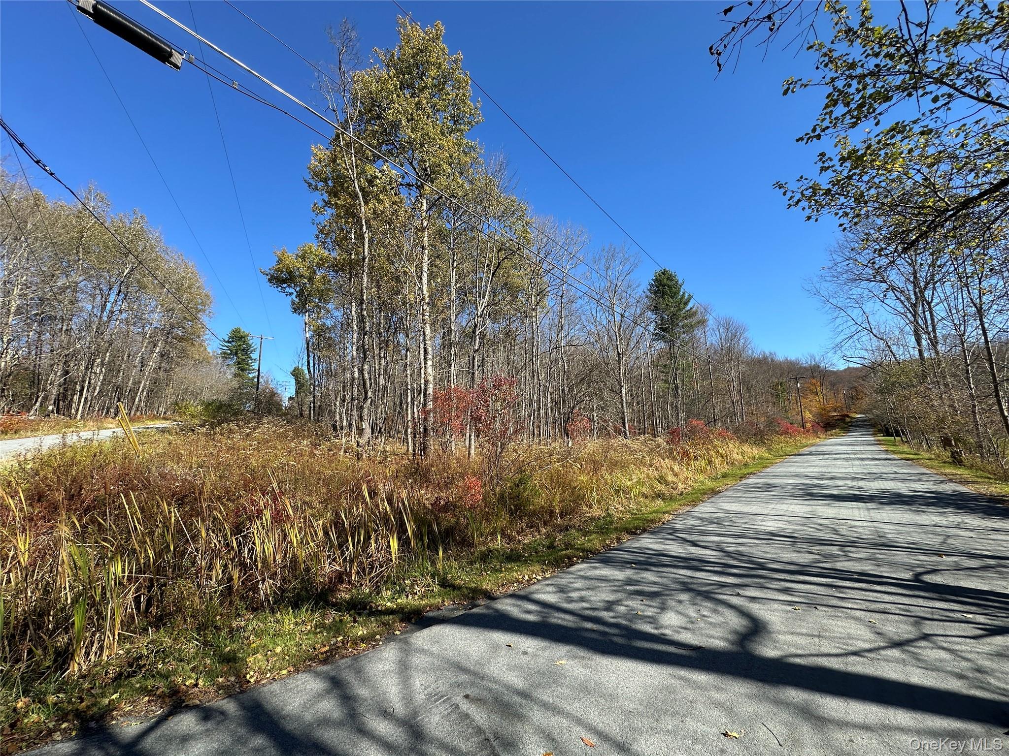 24 Mud Pond Road Livingston Manor, NY 12758 - Photo 14 of 18 a view of a yard with wooden fence