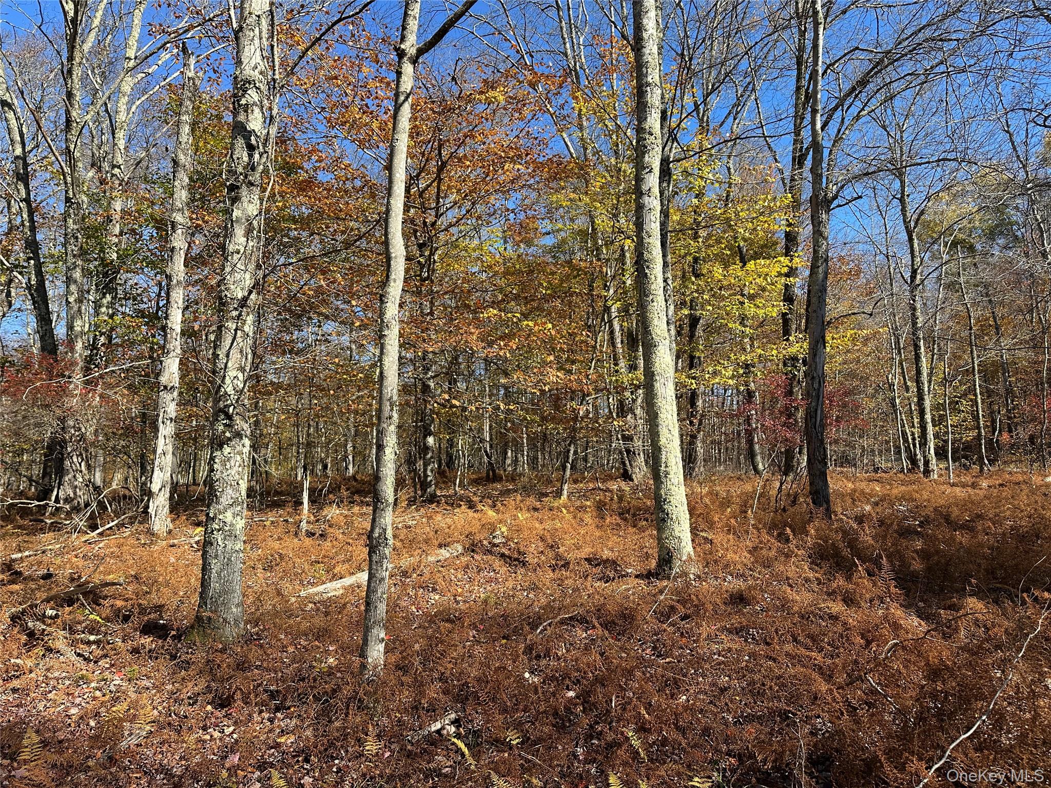 24 Mud Pond Road Livingston Manor, NY 12758 - Photo 16 of 18 a view of a outdoor space
