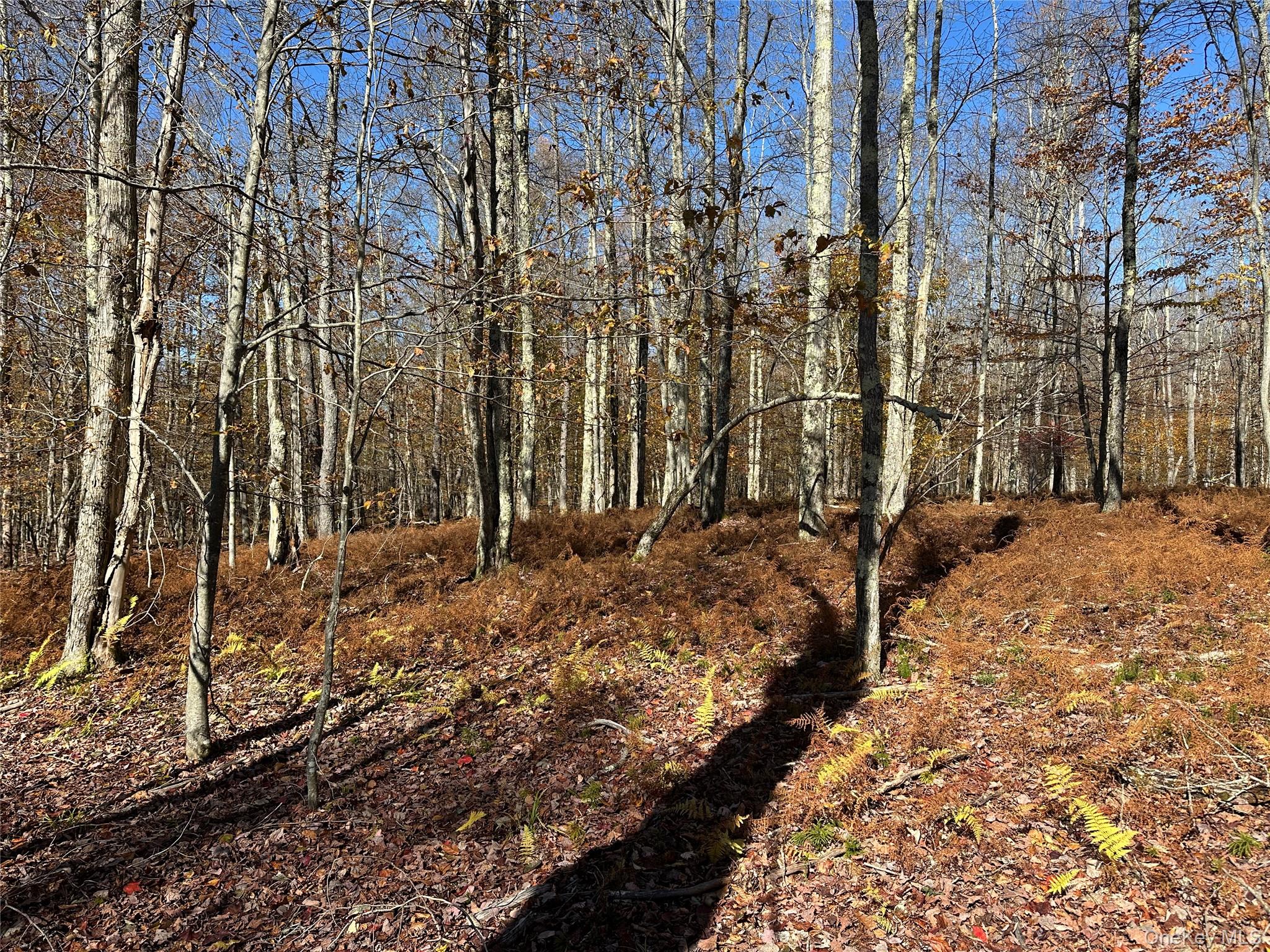 24 Mud Pond Road Livingston Manor, NY 12758 - Photo 17 of 18 a view of a backyard of the house