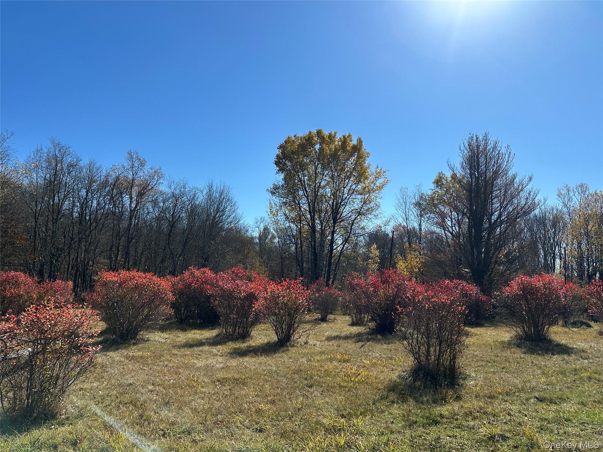 24 Mud Pond Road Livingston Manor, NY 12758 - Photo 2 of 18 a backyard of a house with table and chairs