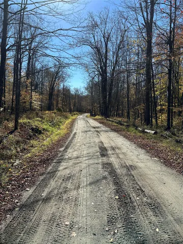 a view of a yard with trees