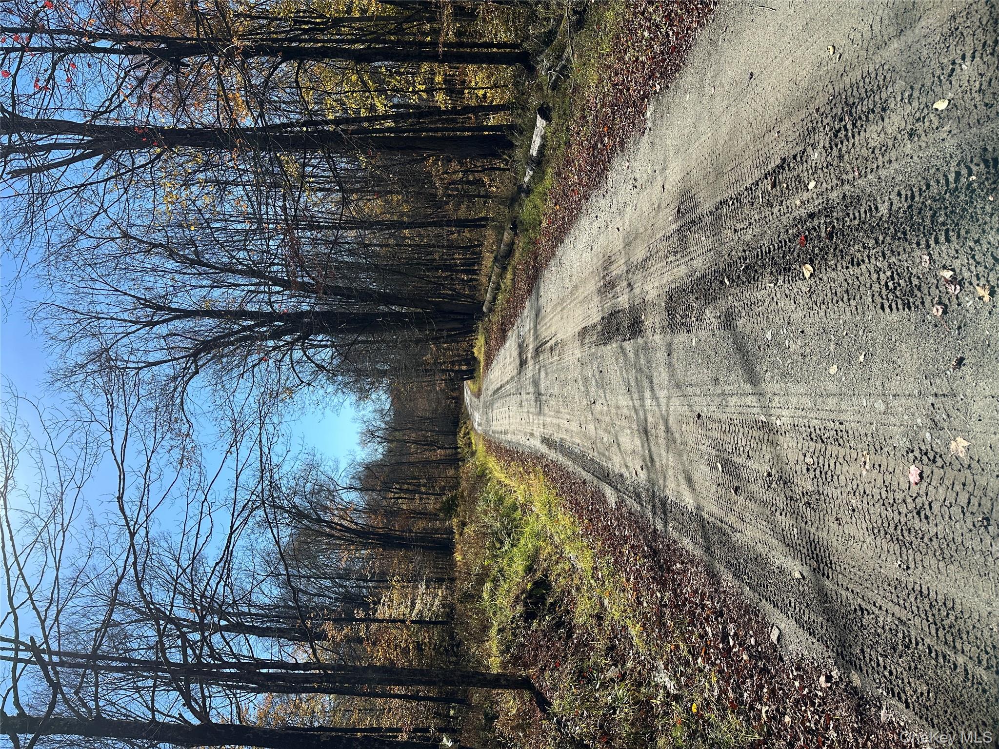 24 Mud Pond Road Livingston Manor, NY 12758 - Photo 5 of 18 a view of a yard with trees
