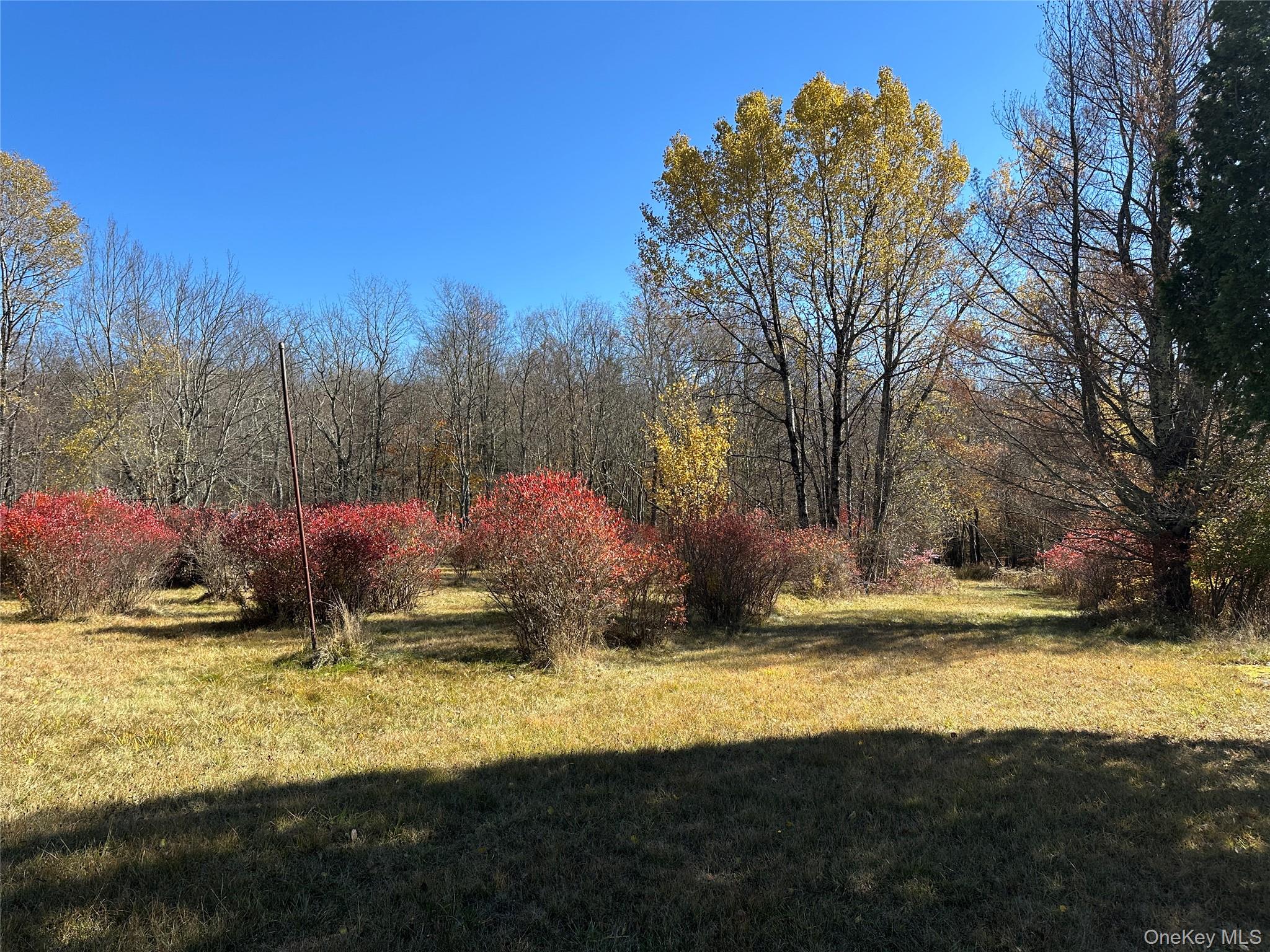 24 Mud Pond Road Livingston Manor, NY 12758 - Photo 8 of 18 a view of a lake with a house in the background