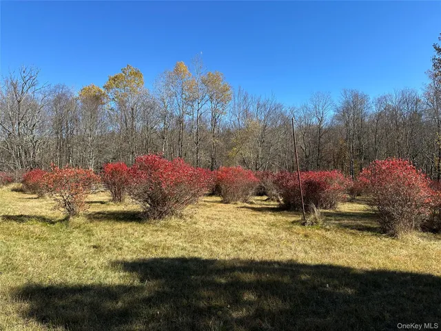a view of back yard of the house