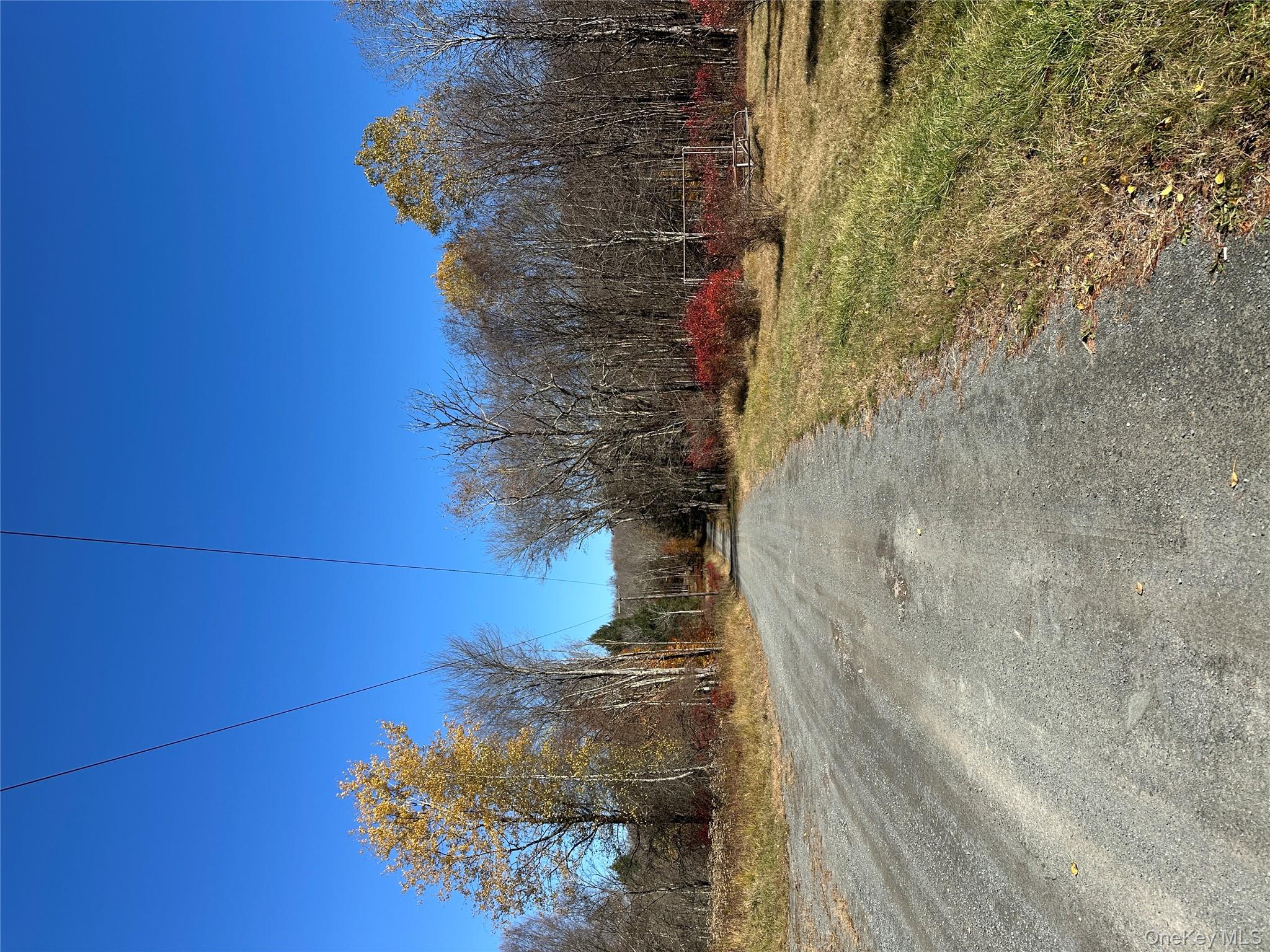 24 Mud Pond Road Livingston Manor, NY 12758 - Photo 10 of 18 a view of a backyard