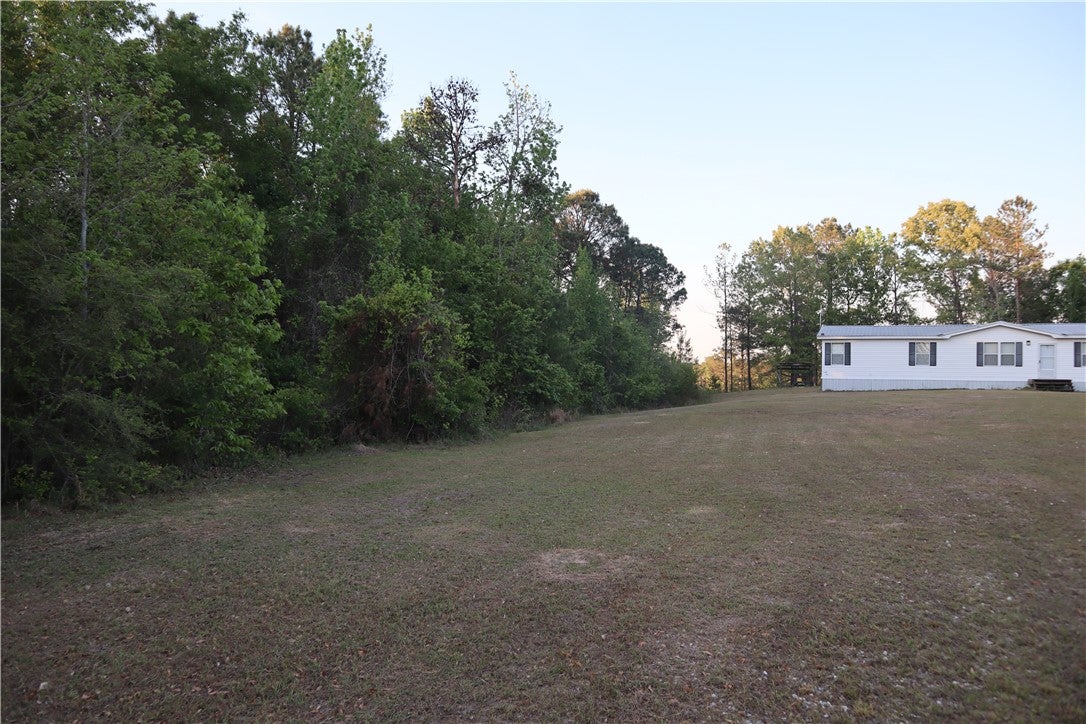 100 Powerline Road Auburn, AL 36830 - Photo 3 of 9 Expansive green yard with ample space, offering serene natural surroundings.