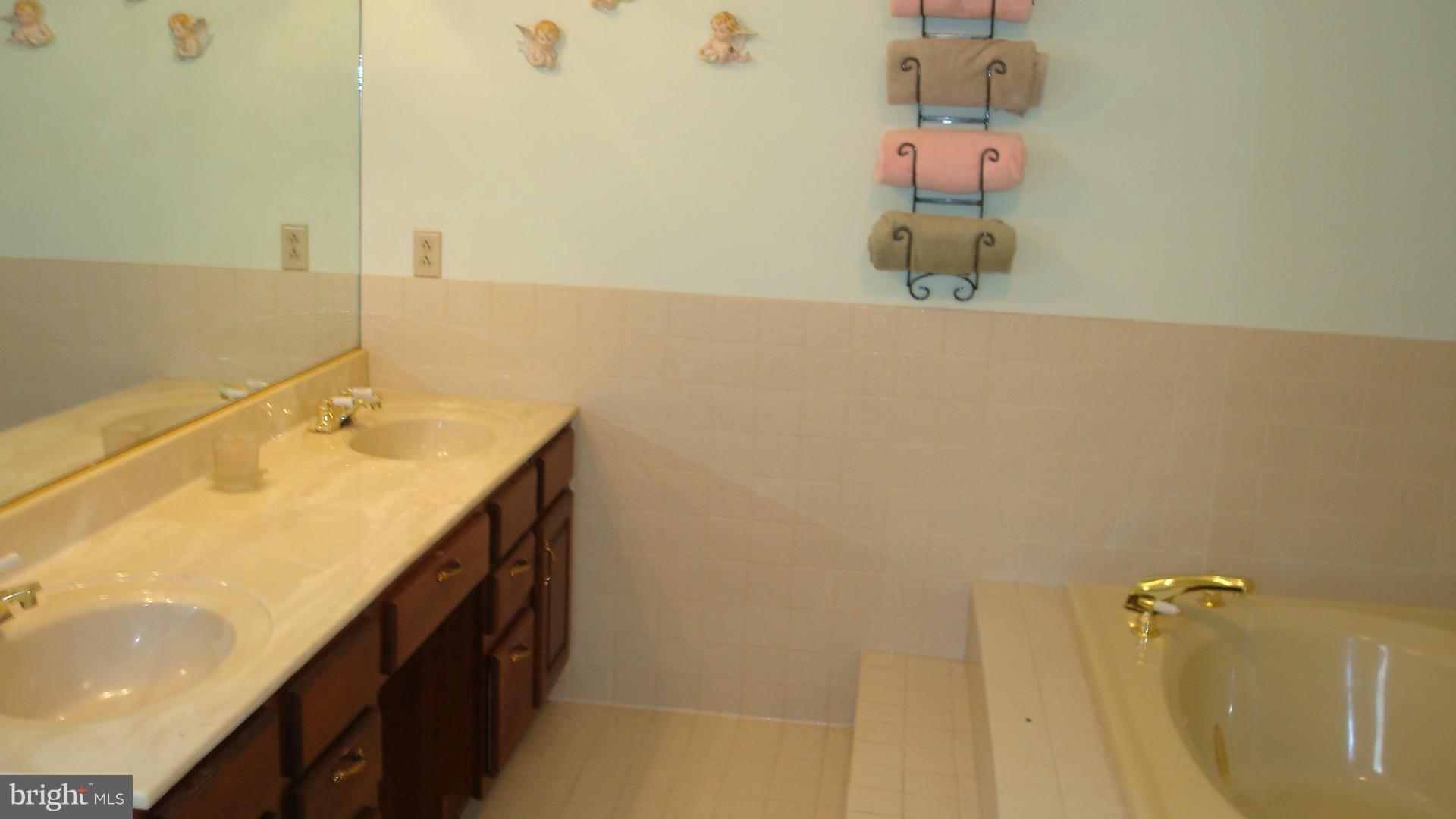 13904 Double Pine Road Flintstone, MD 21530 - Photo 11 of 16 Bath (Master)