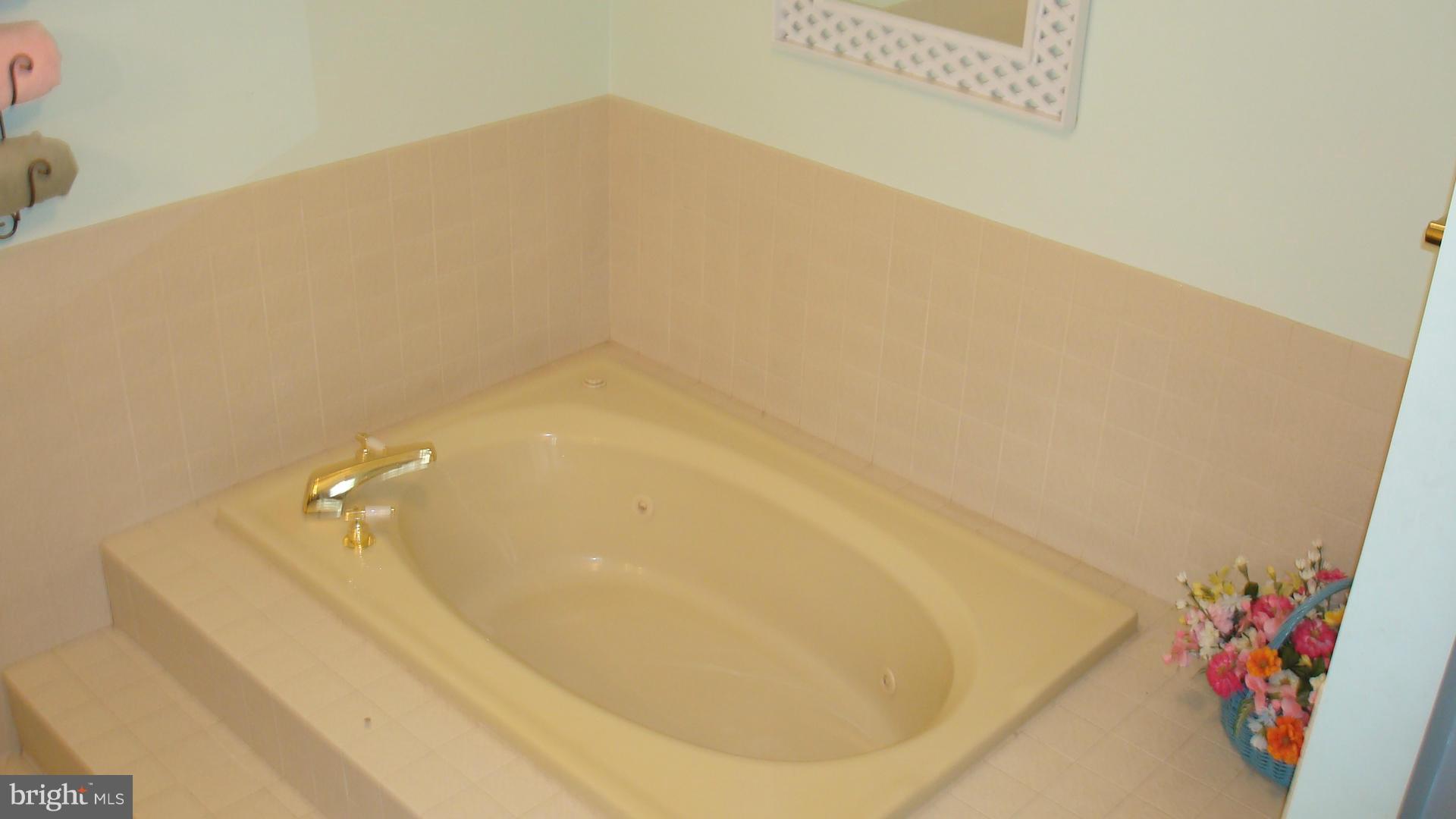 13904 Double Pine Road Flintstone, MD 21530 - Photo 10 of 16 Bath (Master)