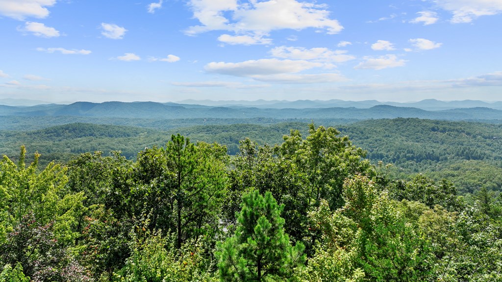 279 Rising Star Lane Mineral Bluff, GA 30559 - Photo 8 of 56