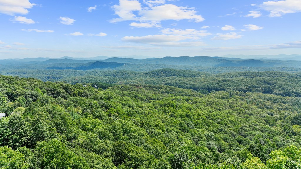 279 Rising Star Lane Mineral Bluff, GA 30559 - Photo 10 of 56