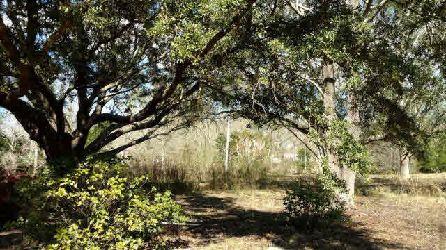 24217 County Road 87 Robertsdale, AL 36567 - Photo 5 of 6