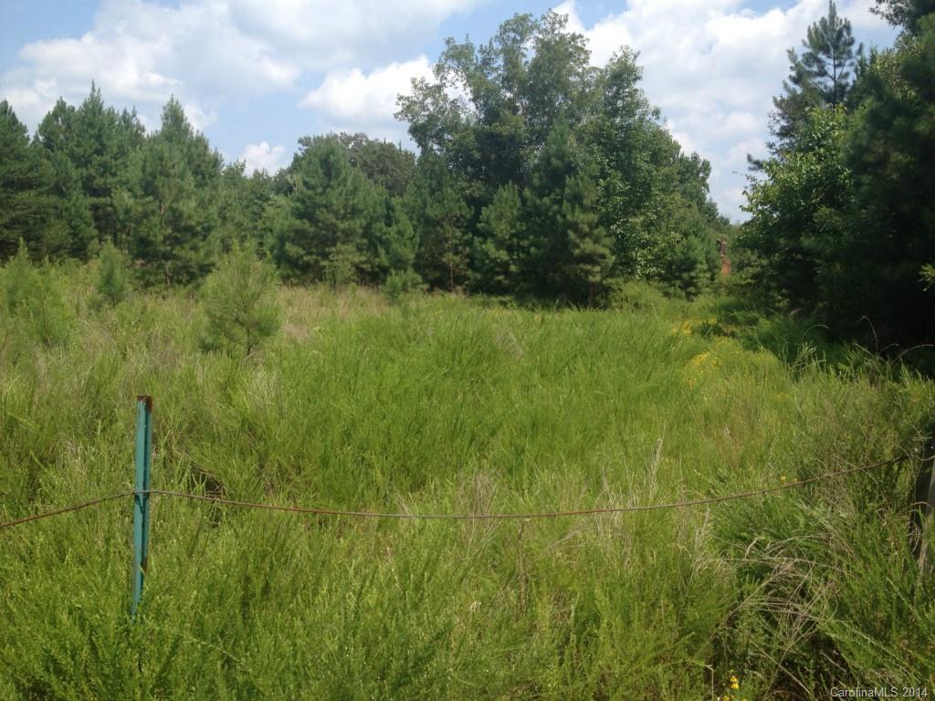 720 Morris Farm Road Gaffney, SC 29340 - Photo 2 of 2 Gallery Image 2
