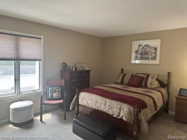 1467 Krafft Road, Unit 8 Port Huron, MI 48060 - Photo 19 of 28 Carpeted room featuring a double window with blinds, neutral wall paint, and a textured ceiling