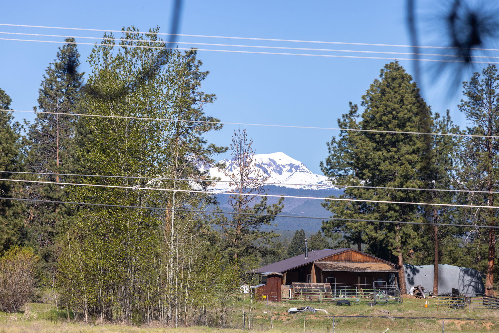 19450 Calico Road Bend, OR 97702 - Photo 41 of 41 a blue swimming pool with outdoor seating and yard