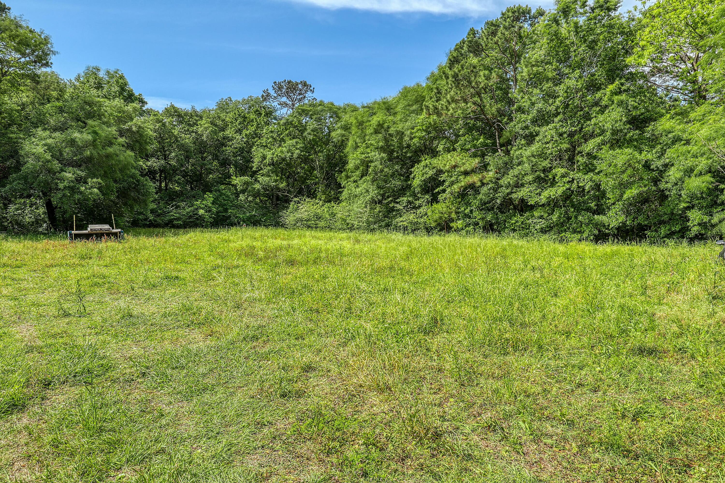 1518 Scott Hill Road Charleston, SC 29412 - Photo 5 of 10 1518 Scott Hill Rd