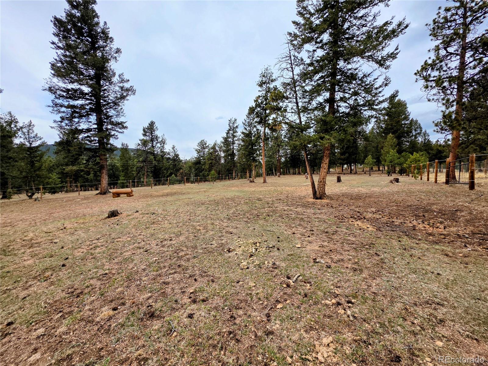 Elk Horn Court Bailey, CO 80421 - Photo 1 of 50
