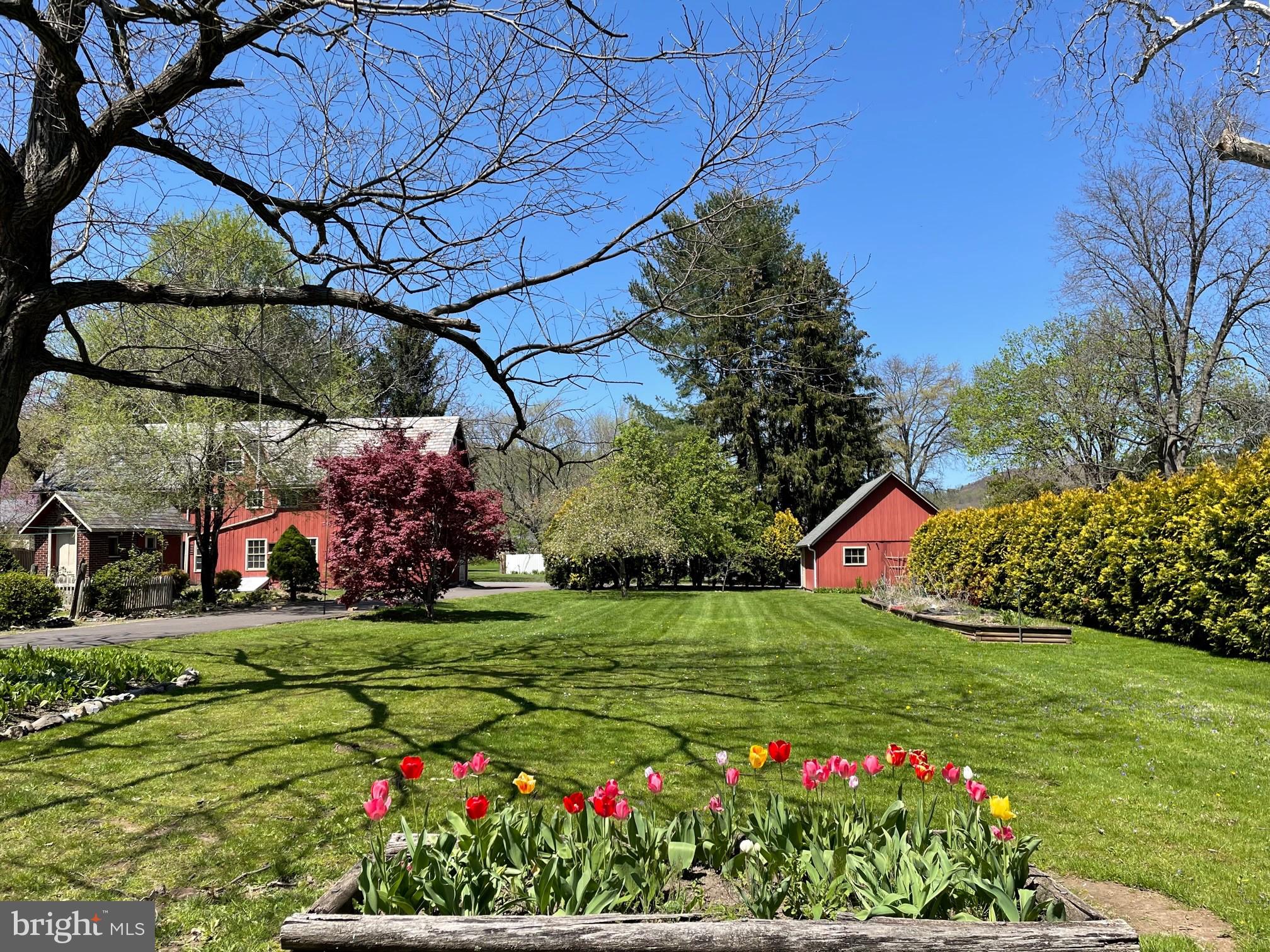225 Linden Lane Riegelsville, PA 18077 - Photo 4 of 27 Side yard