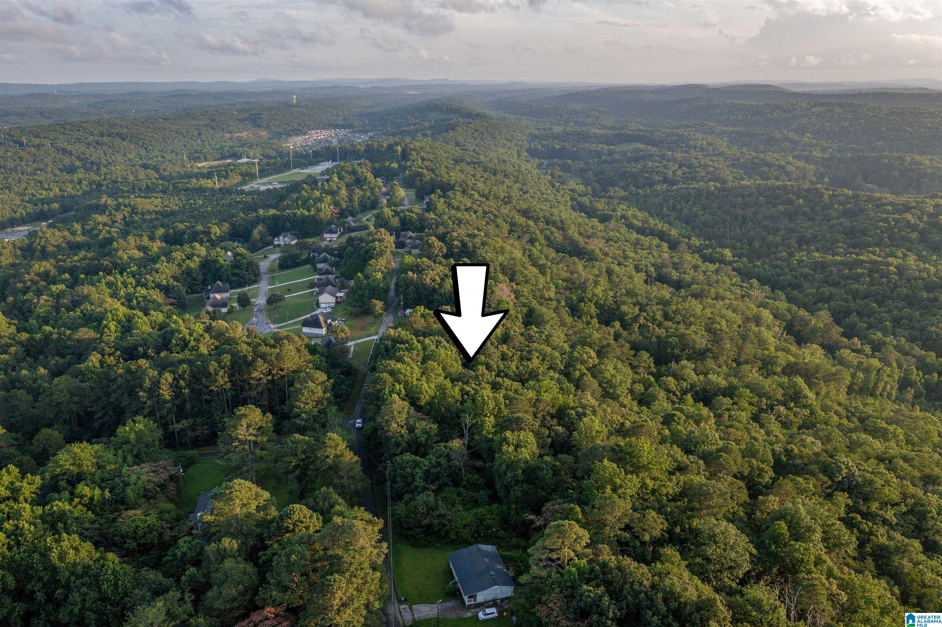 0 Levine Road, Unit X Odenville, AL 35120 - Photo 3 of 16
