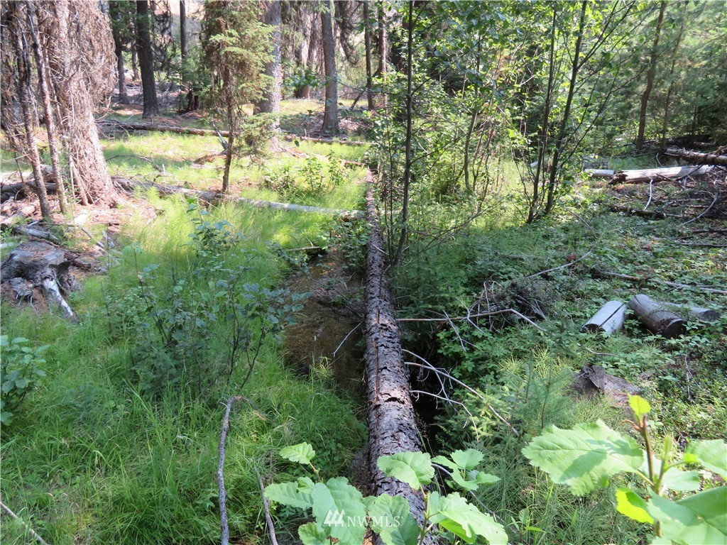 3230 Fs 3230 Road Tonasket, WA 98855 - Photo 14 of 16 Gallery Image 14