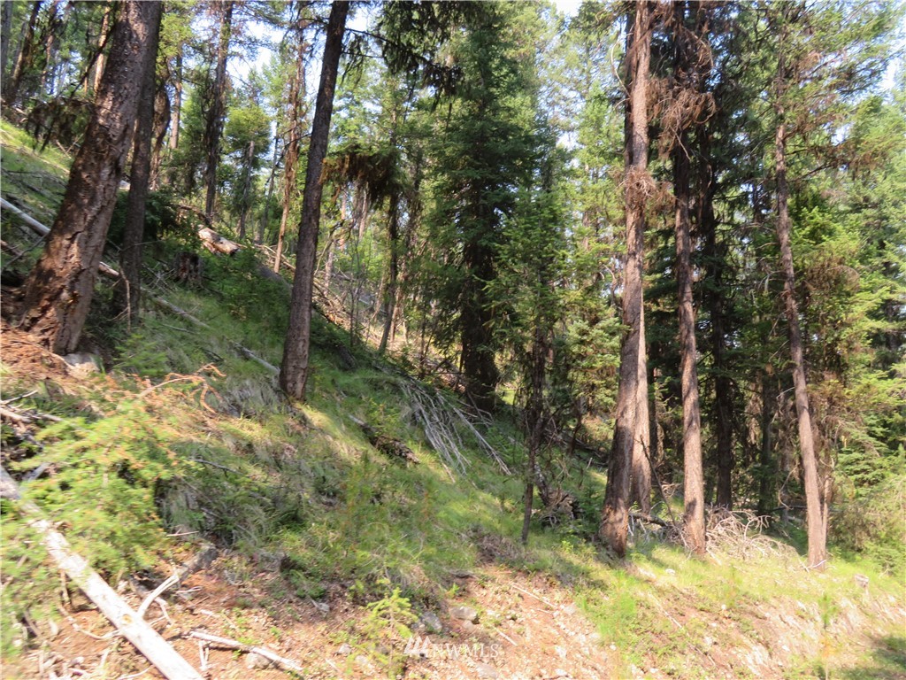 3230 Fs 3230 Road Tonasket, WA 98855 - Photo 8 of 16 Gallery Image 8