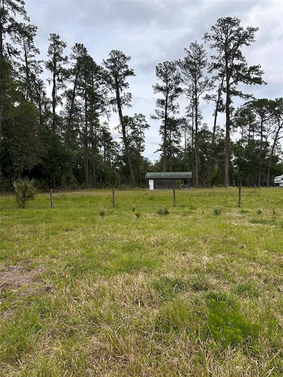 6800 Northeast 175th Street Road Citra, FL 32113 - Photo 18 of 27 a view of a green field