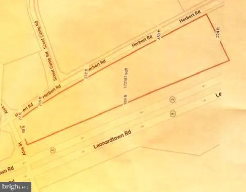 a view of a field with large trees