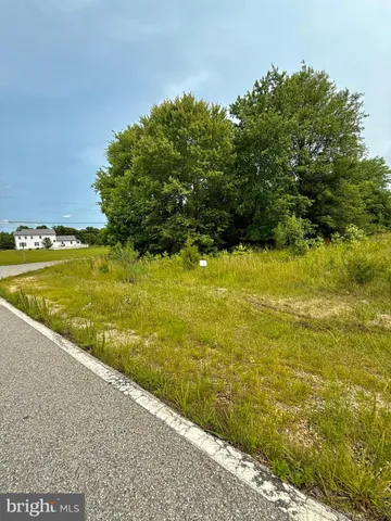 a bathroom with a sink and a shower curtain