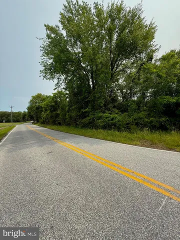 a view of a big yard with plants and large trees