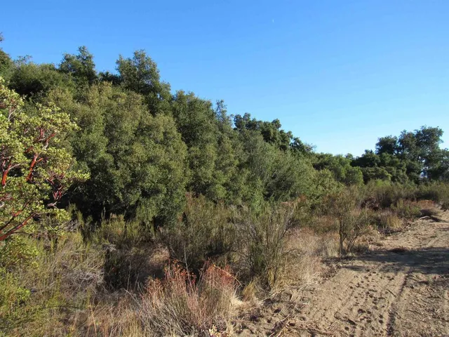 $400,000 | 2115 Campo Truck Trail, Campo, CA 91906