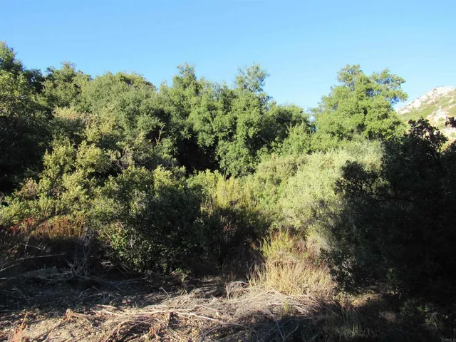 $400,000 | 2115 Campo Truck Trail, Campo, CA 91906