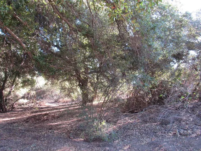 $400,000 | 2115 Campo Truck Trail, Campo, CA 91906