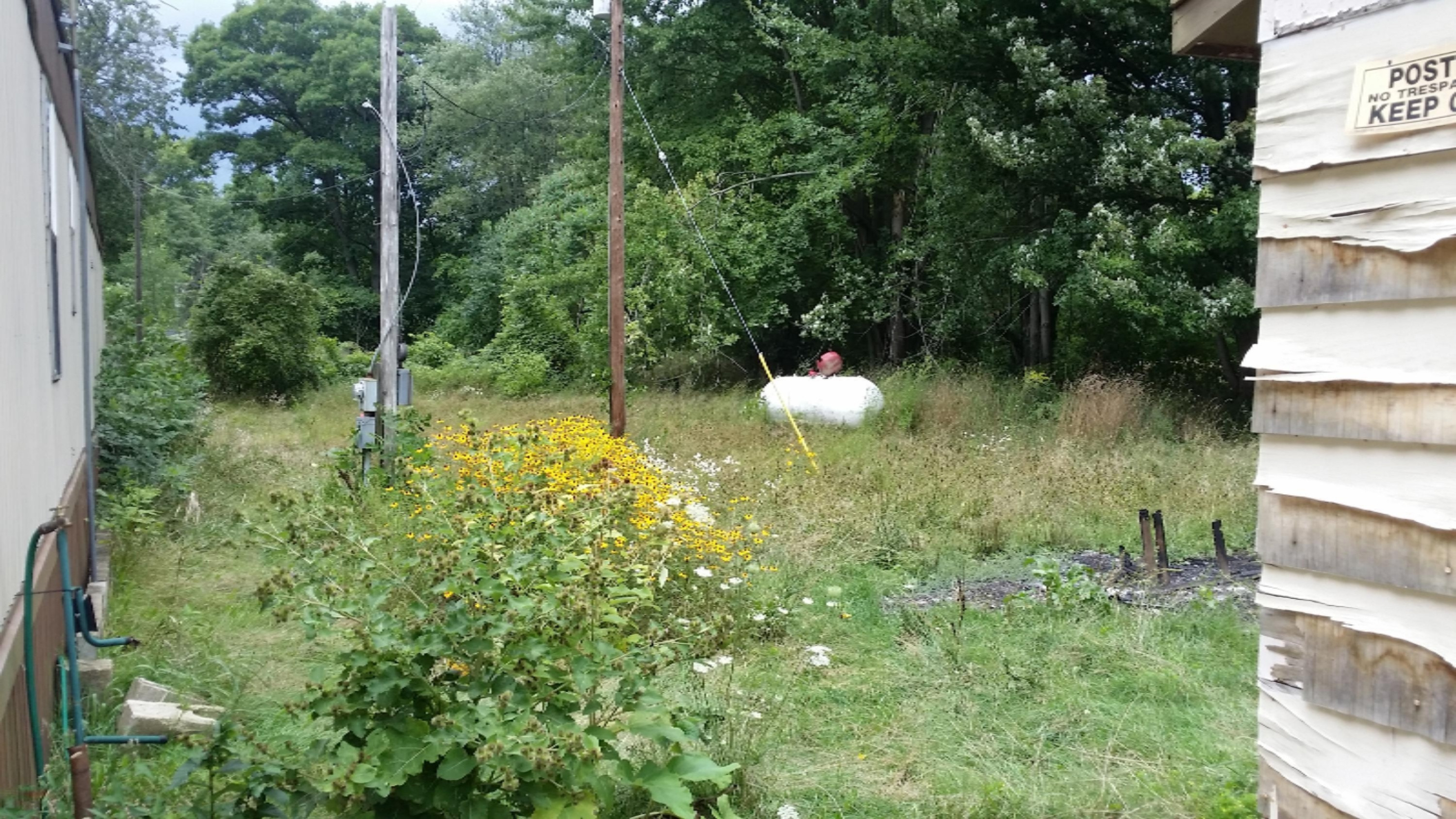 7702 Roth Road Rives Junction, MI 49277 - Photo 3 of 14 20160817_144311