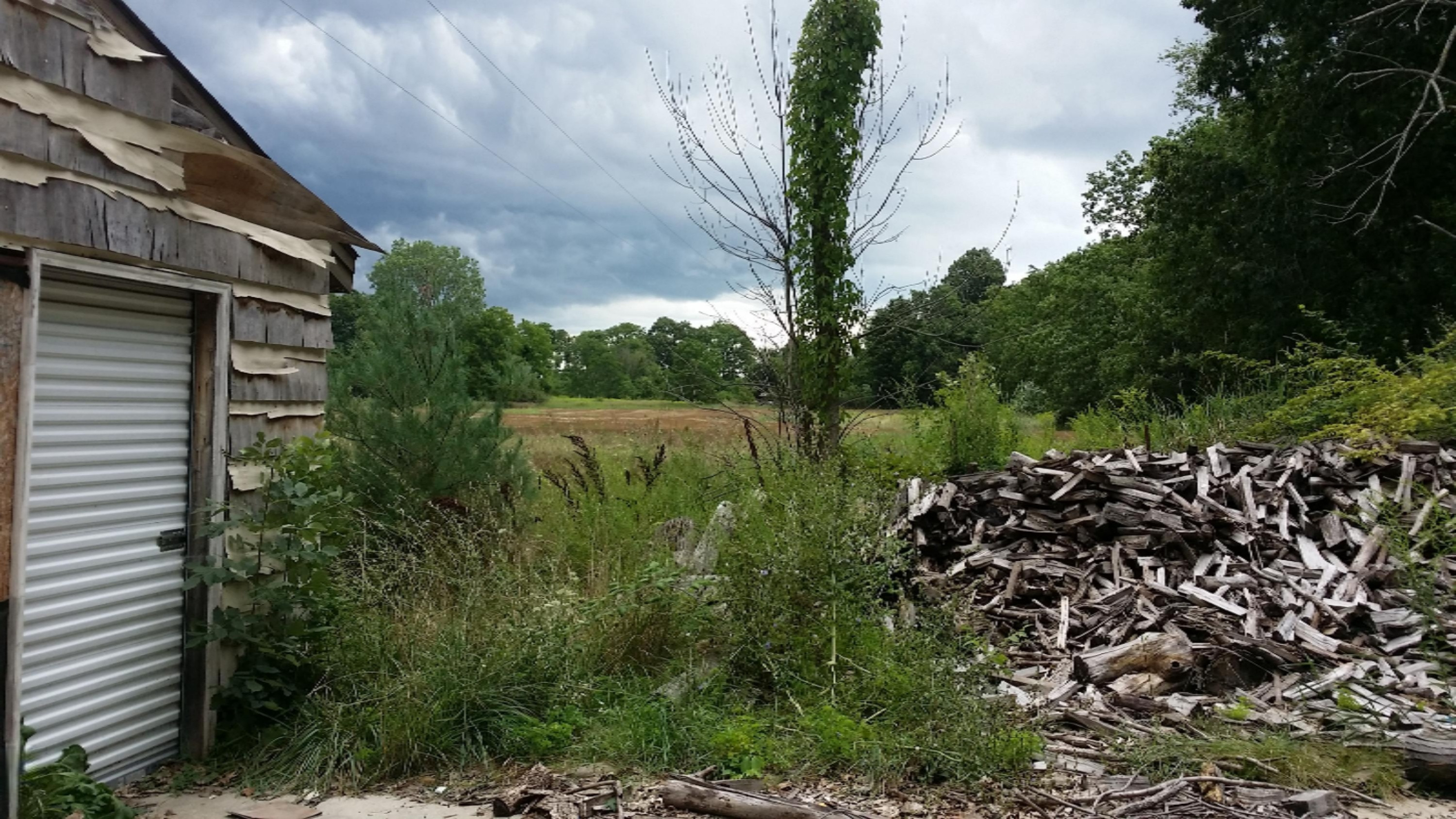 7702 Roth Road Rives Junction, MI 49277 - Photo 5 of 14 20160817_144325