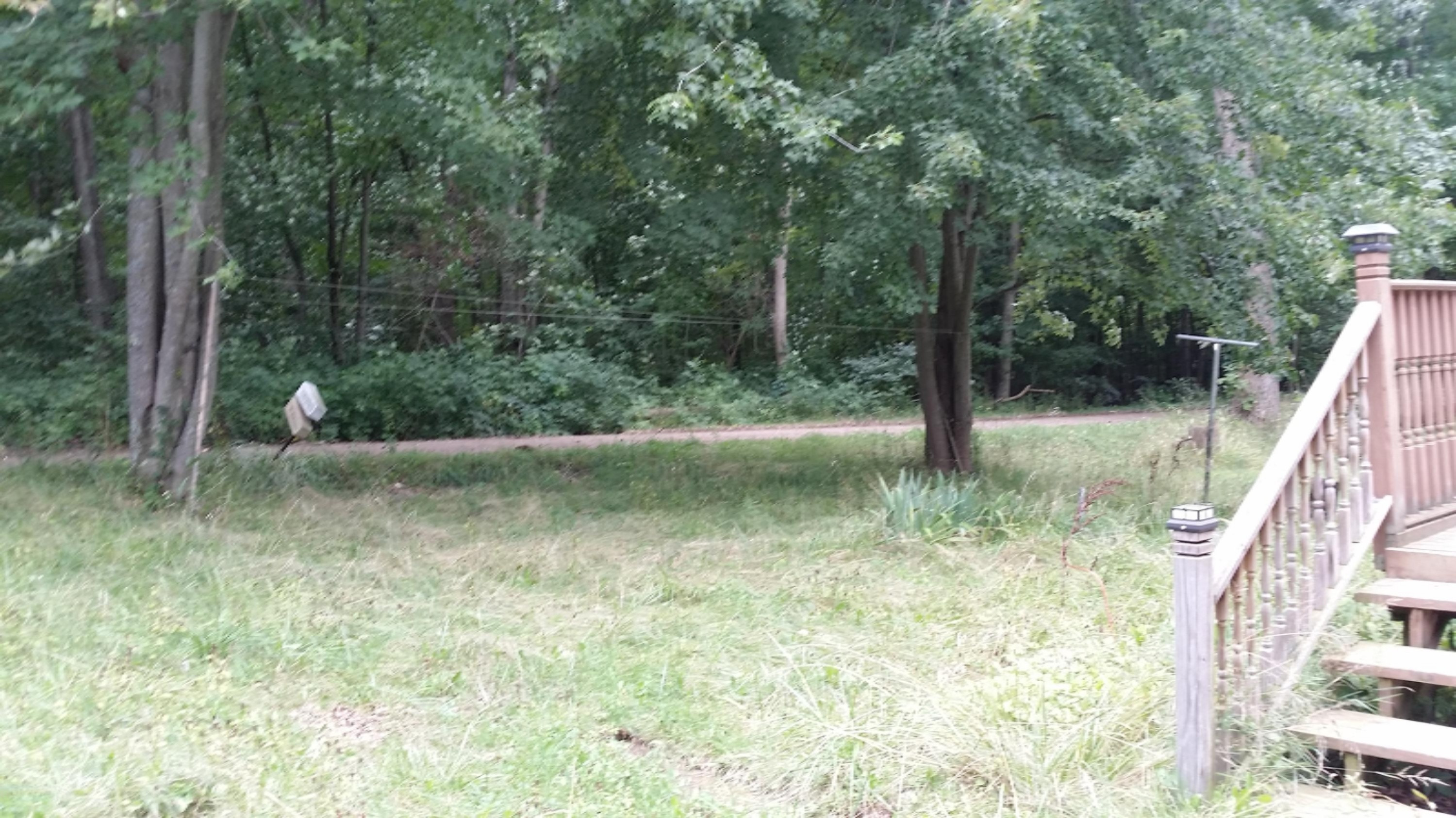 7702 Roth Road Rives Junction, MI 49277 - Photo 6 of 14 20160817_144331