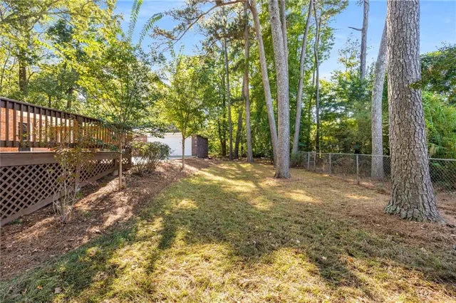 a view of a yard with plants and large trees