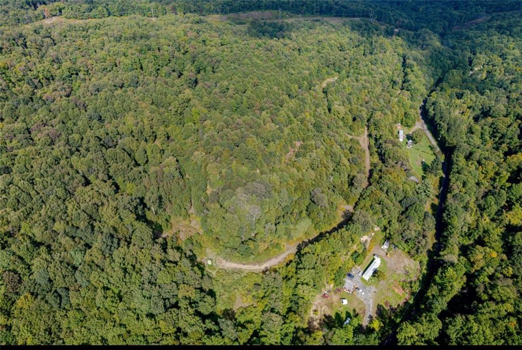 0 Mt Tabor Road Blairsville, PA 15717 - Photo 5 of 6 a view of a yard