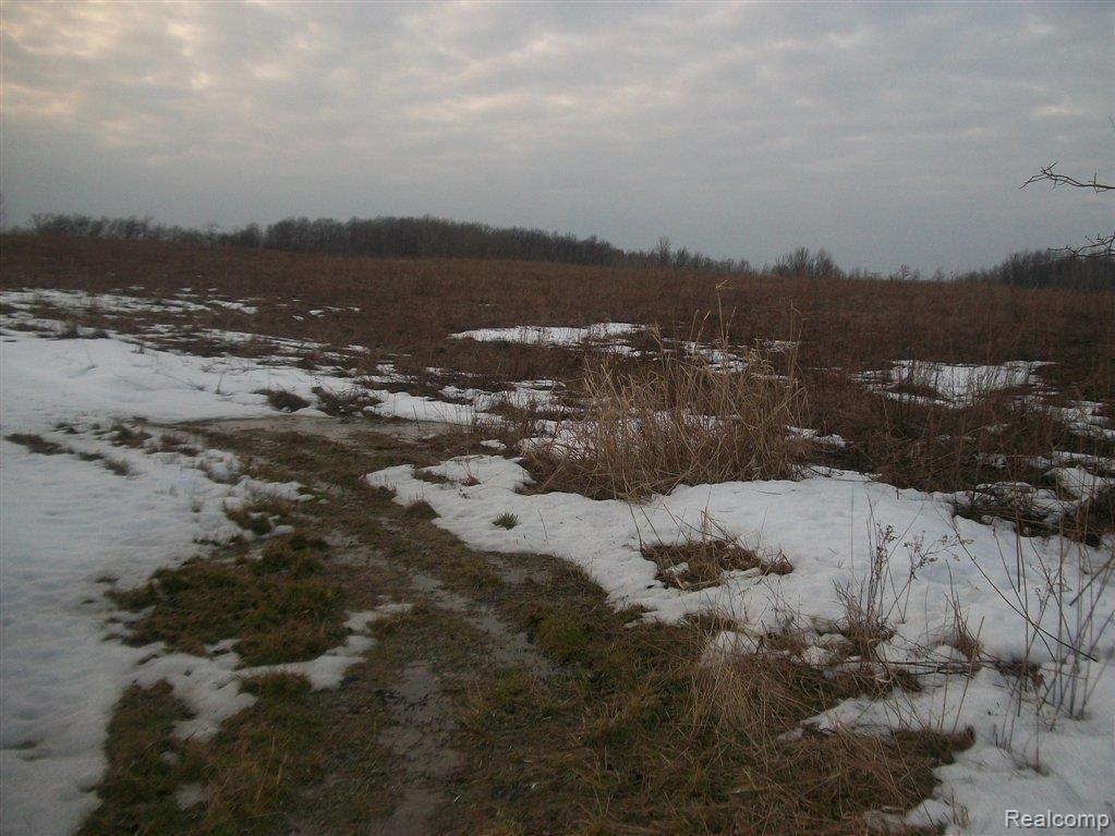 0 Townsend Road Lexington, MI 48450 - Photo 8 of 9 rolling field.JPG