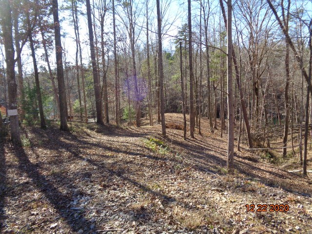 112 Running Bear Lane Sunset, SC 29685 - Photo 4 of 7