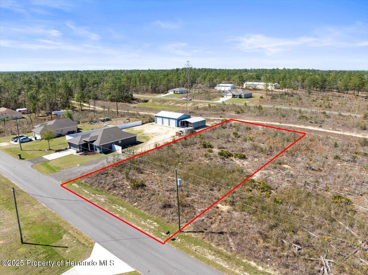 16203 Penn State Road Brooksville, FL 34614 - Photo 4 of 11