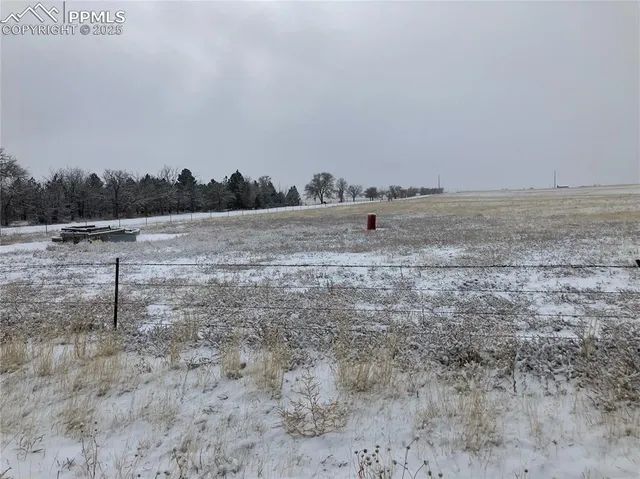a view of a dry yard with trees
