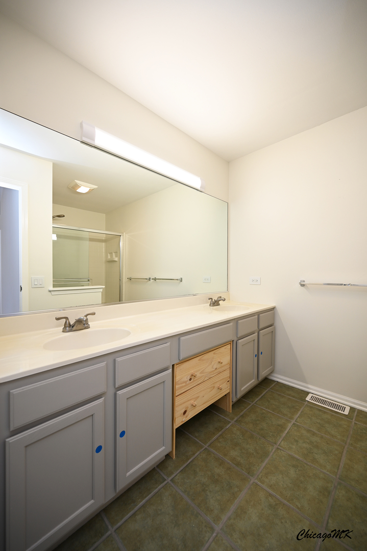 425 Locksley Drive Streamwood, IL 60107 - Photo 25 of 48 a bathroom with a double vanity sink a mirror and a bathtub