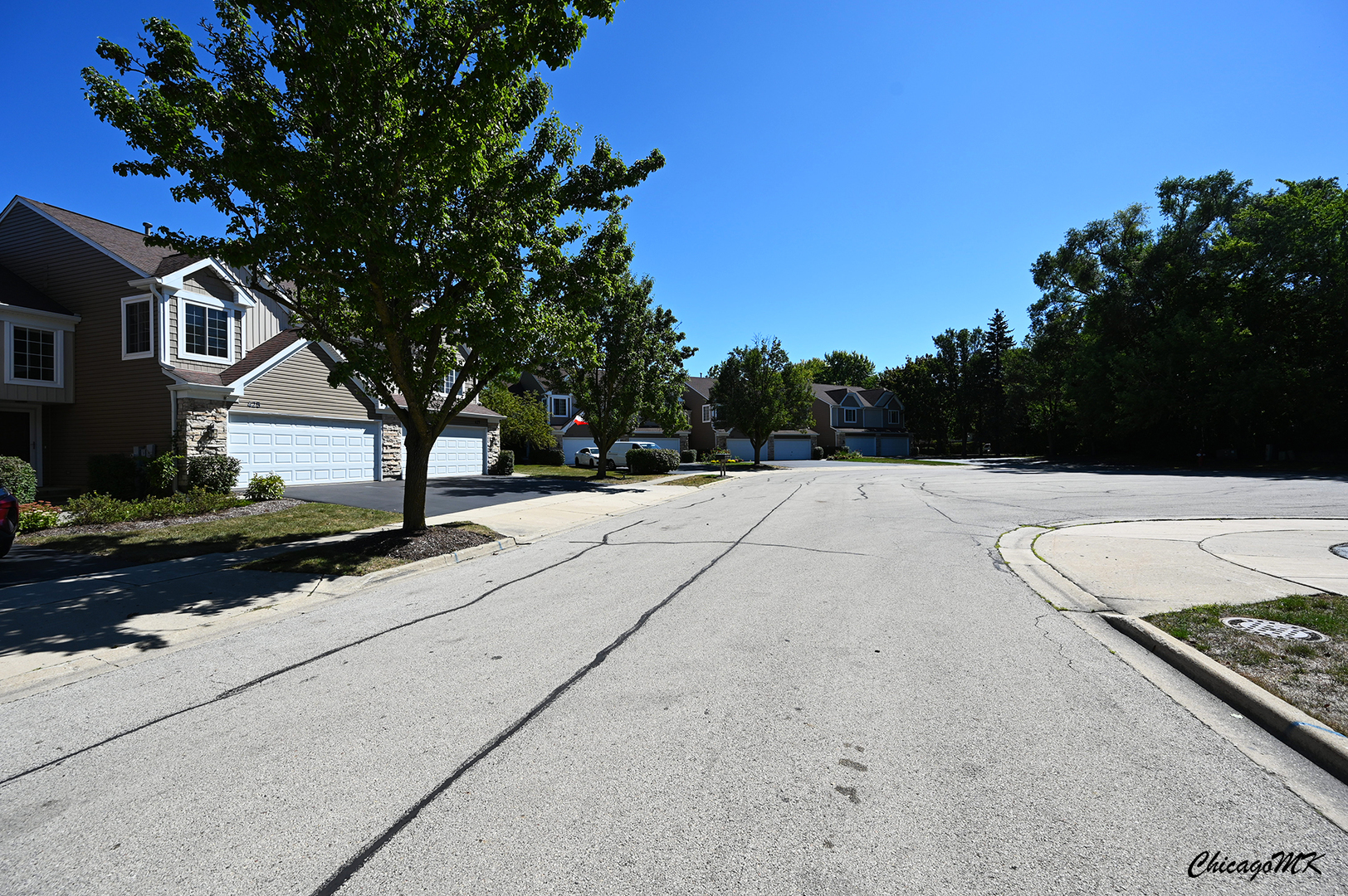 425 Locksley Drive Streamwood, IL 60107 - Photo 45 of 48 a street view with large trees