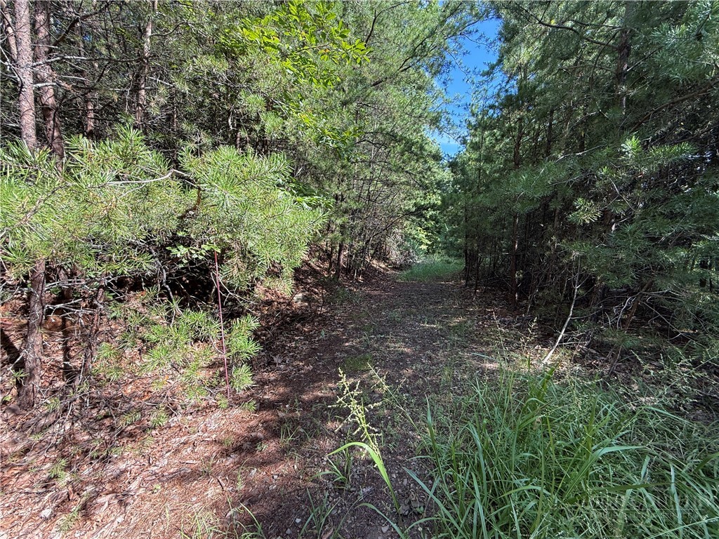 Lot 24 Wolf Pen Road Purlear, NC 28665 - Photo 16 of 42 Gallery Image 16