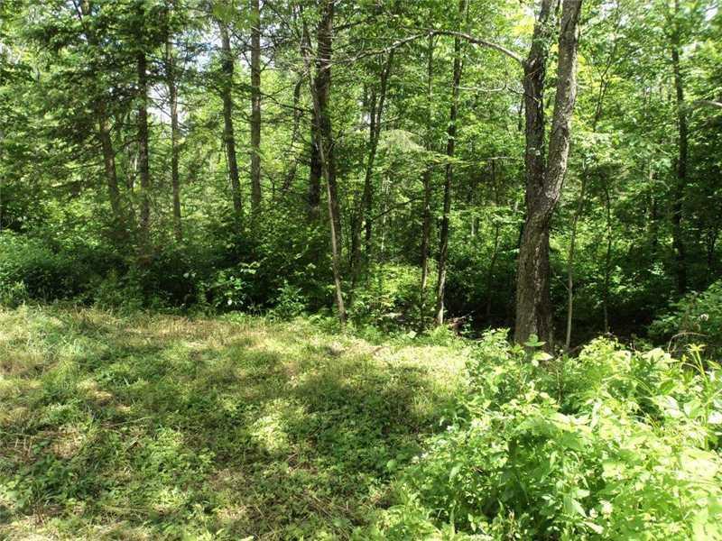 0 Corson Road Parkman, ME 04443 - Photo 2 of 4 Land.