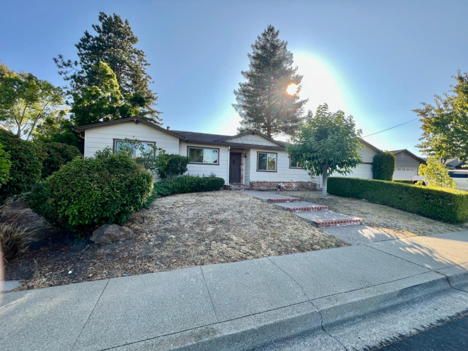 a front view of a house with trees and plants