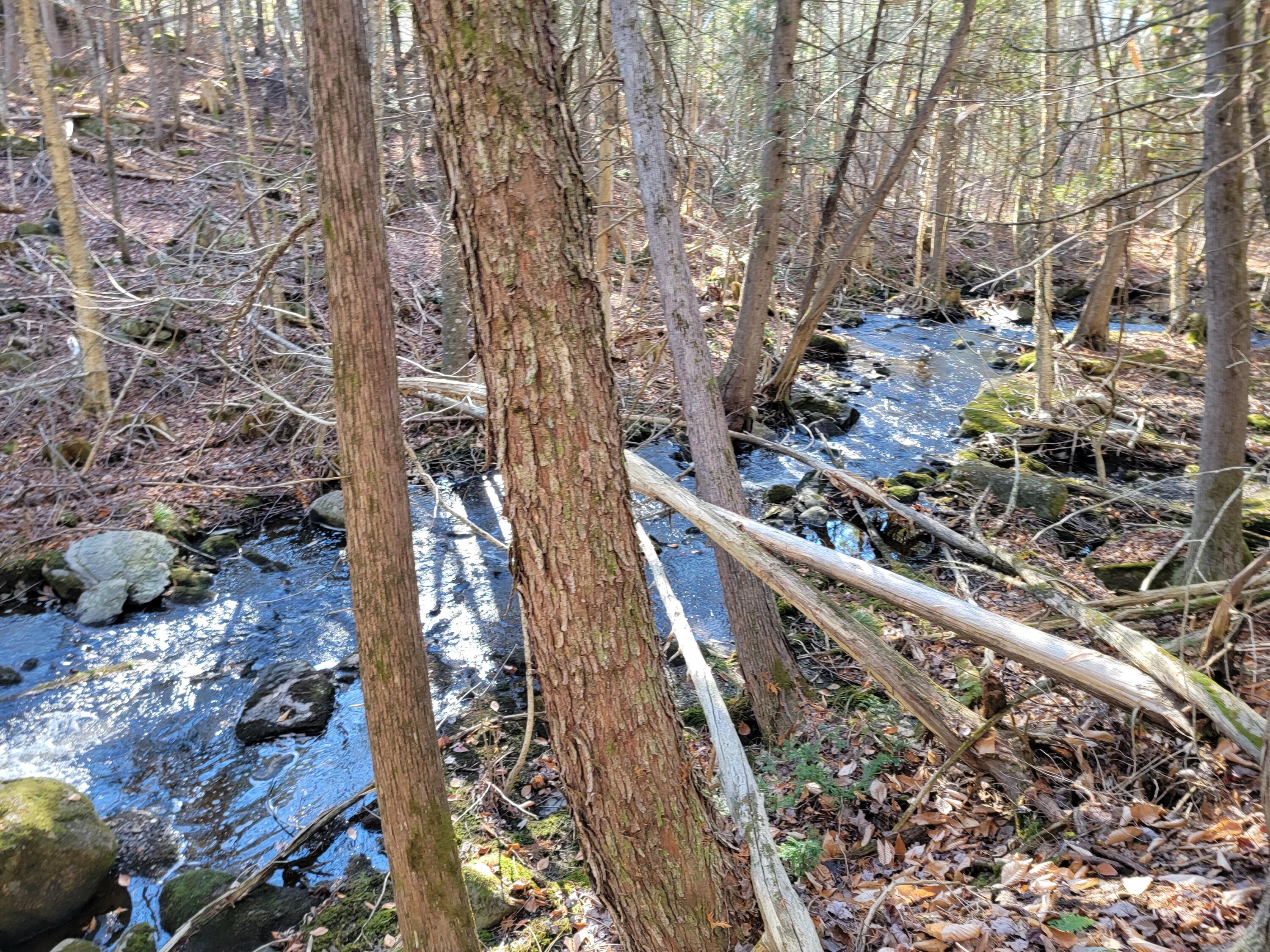0 East Road Bradford, ME 04410 - Photo 21 of 32 20221102_104311