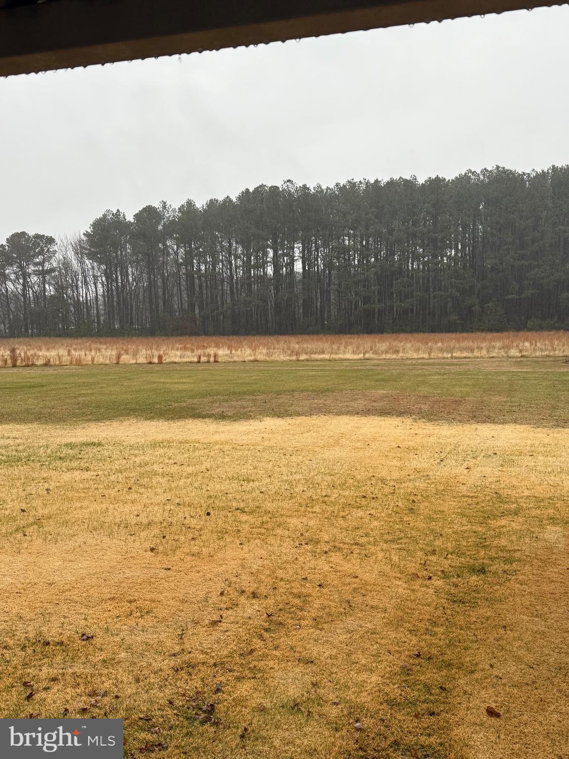 11493 Ross Lane Delmar, DE 19940 - Photo 2 of 10 a view of an ocean from a mountain